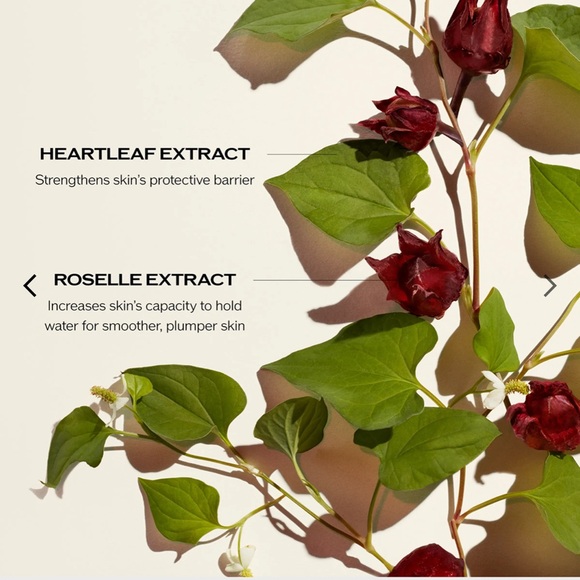 NEW Big Size 2.5 Oz Ultimune Power Infusing Concentrate Antioxidant face serum - Picture 3 of 14